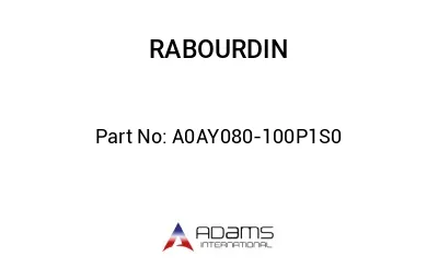 A0AY080-100P1S0