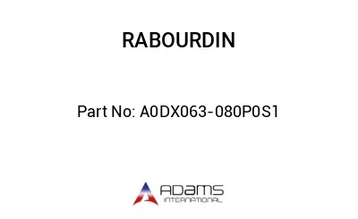 A0DX063-080P0S1