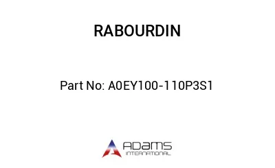 A0EY100-110P3S1