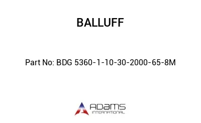 BDG 5360-1-10-30-2000-65-8M									