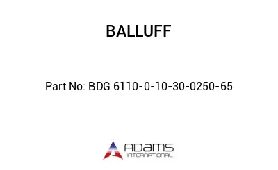 BDG 6110-0-10-30-0250-65									
