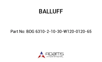 BDG 6310-2-10-30-W120-0120-65									