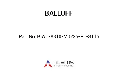 BIW1-A310-M0225-P1-S115									