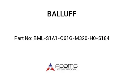 BML-S1A1-Q61G-M320-H0-S184									